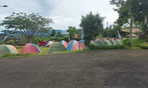 IMG-20221126-WA0055