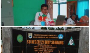 IMG-20230113-WA0012