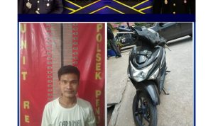 IMG-20240519-WA0020